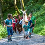 Burgis Lamas A group of adults and children with llamas.