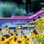 Latini_Garten_1 Yellow flowers in front of a lounger.